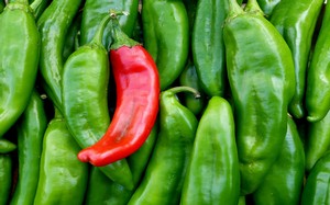 Green and red Chile peppers
